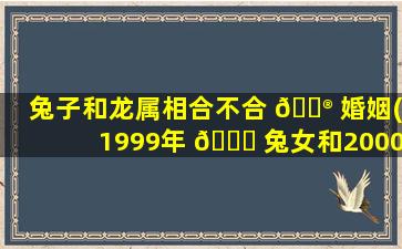 兔子和龙属相合不合 💮 婚姻(1999年 🐞 兔女和2000年龙男姻缘)